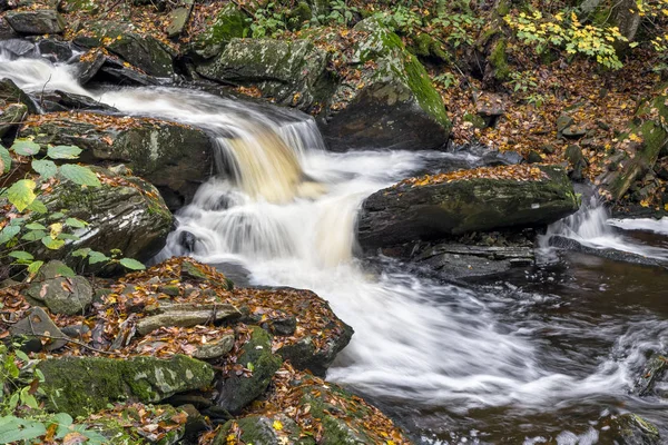 Water in the Glen — Stock Photo, Image