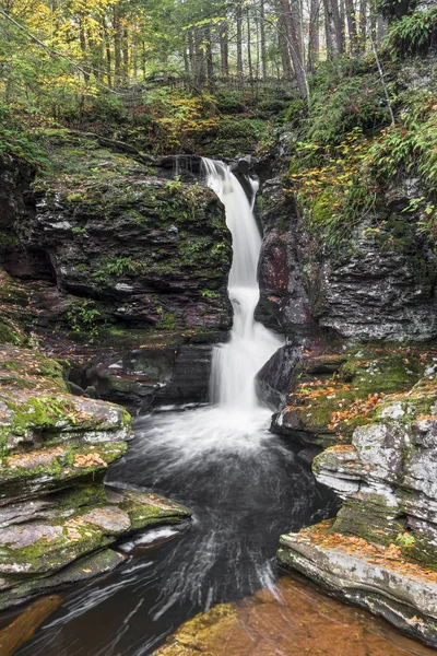 Adams cai em Ricketts Glen — Fotografia de Stock