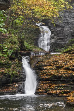 Deckertown Falls sonbahar