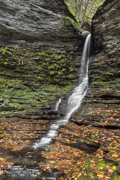 Excelsior Glen Lower Falls Autumn — Stock Photo, Image