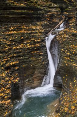 Watkins Glen Falls'ta Pluto