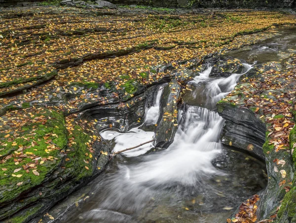 October Splash — Stock Photo, Image