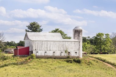 Bir yerde Ohio'da - sığır ahıra beyaz