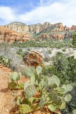 Red Canyon Sedona, Arizona yakınlarında