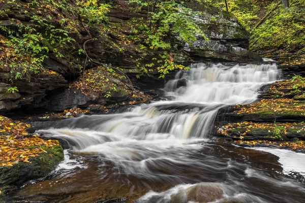 Art arda sıralı Ganoga Glen içinde — Stok fotoğraf