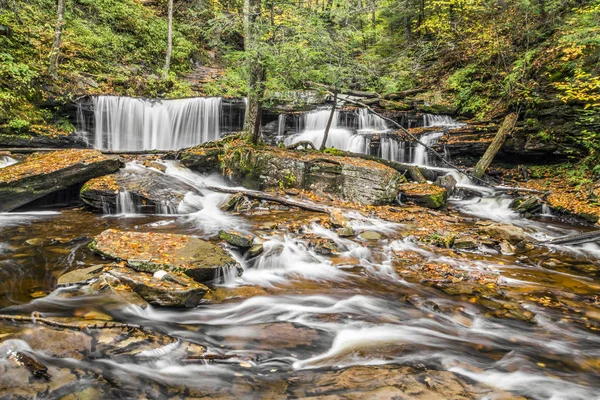 Delaware Falls adlı Ricketts Glen — Stok fotoğraf