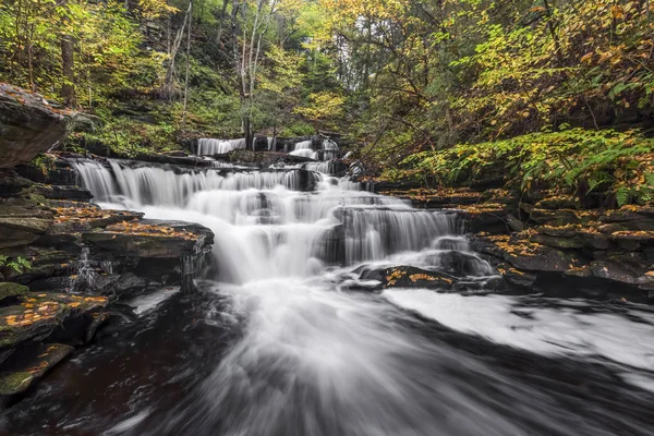 Delaware Falls Güzel Bir Şelale Içinde Pennsylvania Nın Ricketts Glen — Stok fotoğraf