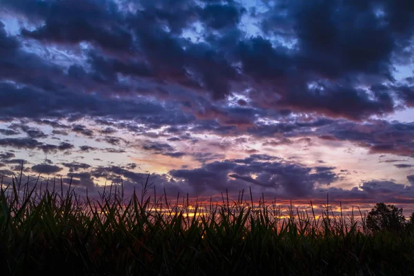 Beginnings of a Midwestern Day — Stock Photo, Image