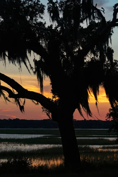 Low Country Silhouette — Stock Photo, Image