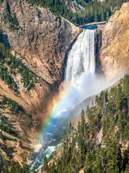 Apreciado Por Arco Íris Matinal Cataratas Inferiores Rio Yellowstone Uma — Fotografia de Stock