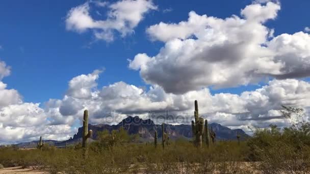 솜 털 흰 구름이 지나가는 애리조나 사막 풍경. 시간 경과 — 비디오