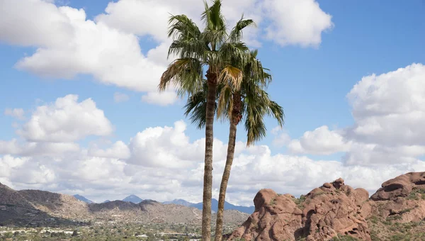 Phoenix valley of the Sun, landscape view — Stock Photo, Image