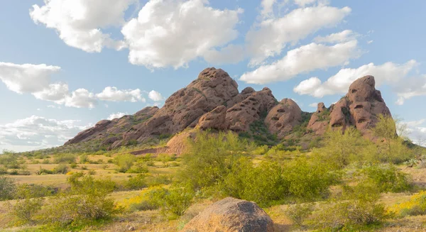 Blick Auf Den Papago Park Phoenix Arizona Usa Frühling — Stockfoto