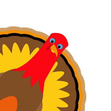 Şükran gününde Türkiye'Pilgrimin