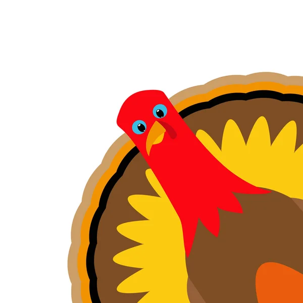 Turkije Pilgrimin op Thanksgiving Day — Stockvector