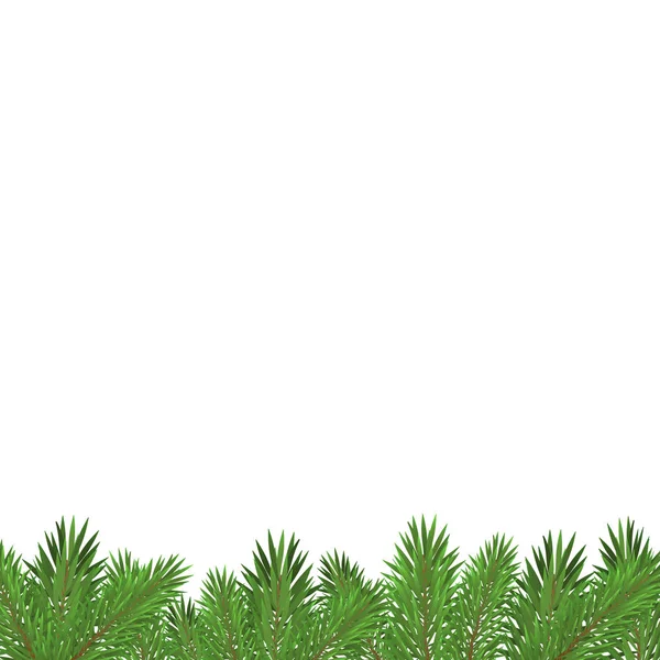 Beyaz arka planda izole edilmiş yeşil Noel ağacı dalları.