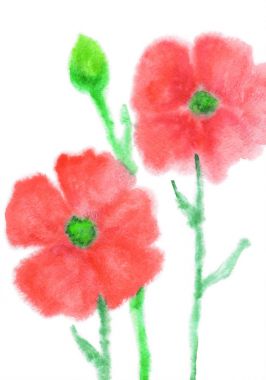 Bir suluboya ile boyalı haşhaş