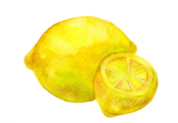 Egy akvarell festett két citrom — Stock Fotó