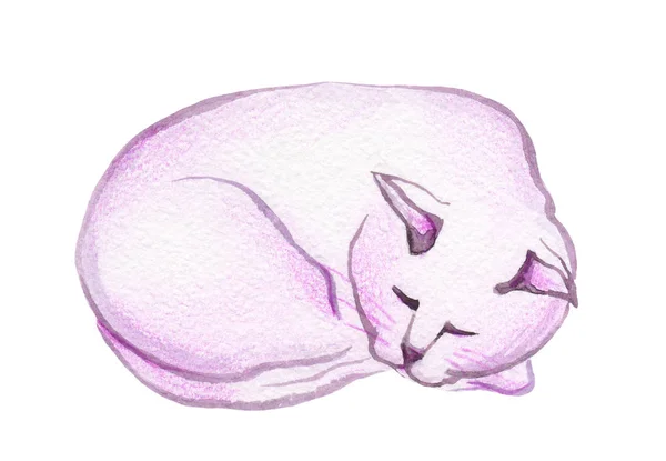 Кот, нарисованный акварелью — стоковое фото