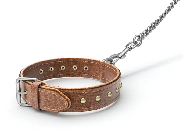 Leather dog collar — Stock Photo, Image