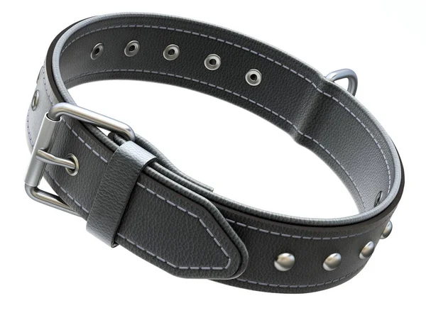 黒レザー犬の首輪 — ストック写真