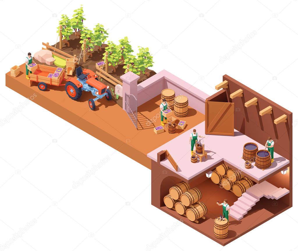 Vector isometric winery and wine making