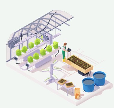 Vektör izometrik modern sera çizimi