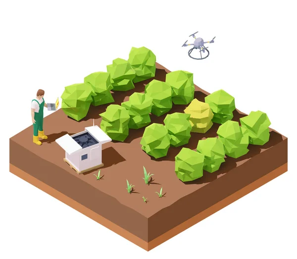 Vector isometric agricultural drone inspecting crop field — Stock Vector