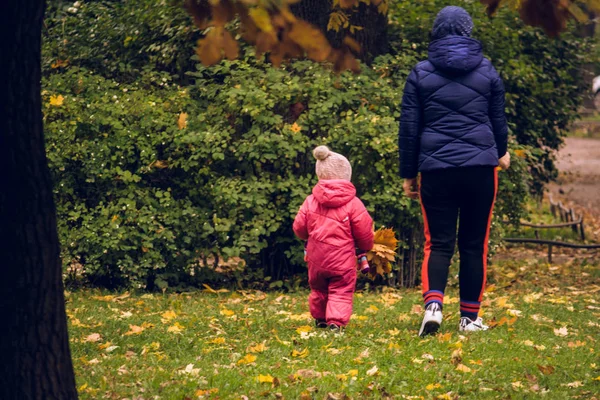 Anne sonbahar parkında kızıyla oynuyor. Birlikte mutlu anlar