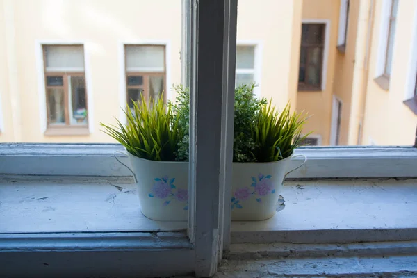 Pots Avec Des Herbes Aromatiques Fraîches Sur Rebord Fenêtre Plantes — Photo