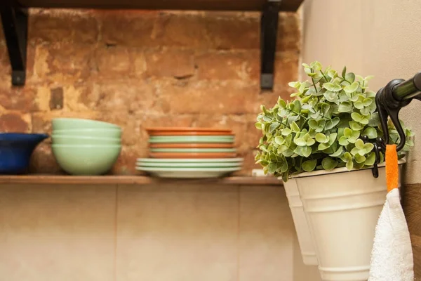 Herbe Fraîche Pot Sur Cuisine Avec Assiettes Sur Une Étagère — Photo