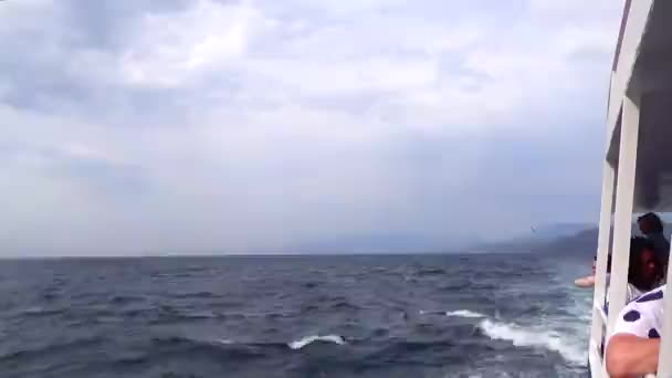 Região Alushta Crimeia Agosto 2019 Navio Com Passageiros Que Passam — Vídeo de Stock