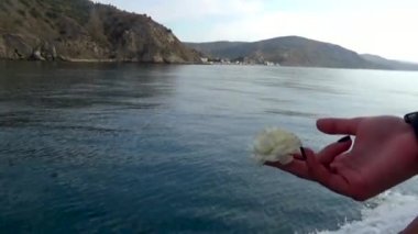 Kız elinde beyaz bir çiçek tutuyor ve gemideki dağ manzarasını geçerken rüzgarda savrulmasına izin veriyor.