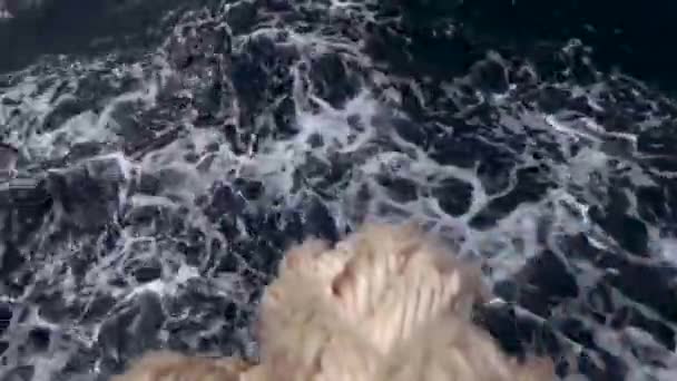 Веревка Завязанная Морским Узлом Висит Корме Корабля Над Морской Водой — стоковое видео