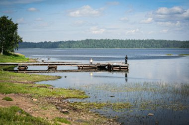 Uzaktaki çocuklar güneşli bir yaz gününde gölün ahşap iskelesinde balık tutup oynuyorlar.