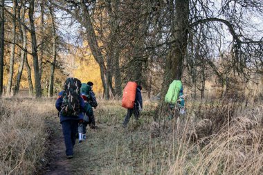 Bir grup turist güneşli bir sonbahar gününde orman yolunda yürüyor.