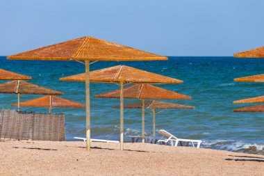 bir deniz plajda güneş şemsiyesi