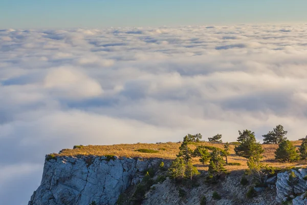 빽빽한 구름 위의 산 고원 — 스톡 사진