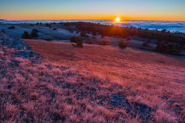 Puesta de sol sobre una pradera — Foto de Stock