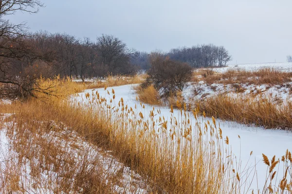 Paysage de coude de rivière gelé — Photo