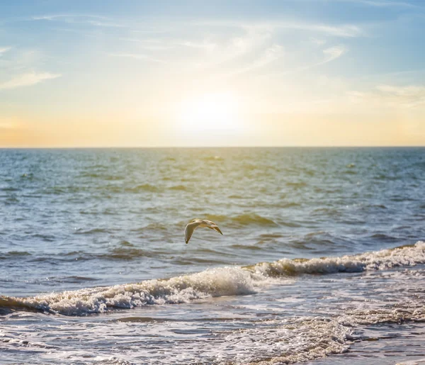 Bela cena da costa do mar ao pôr do sol — Fotografia de Stock