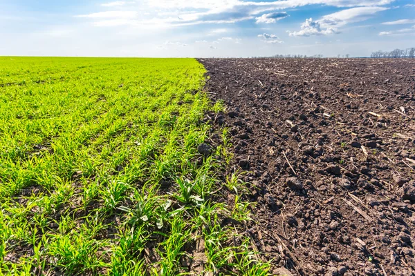 Tierras de arado de primavera bajo un cielo azul nublado —  Fotos de Stock