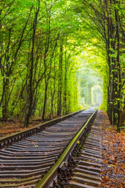 Ukrayna, aşıkların yeşil tünel