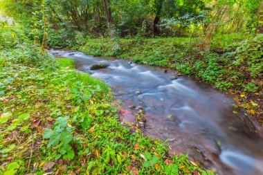 bir ormandaki nehir acele