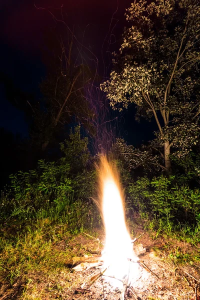 Lägerelden i en natt skog — Stockfoto
