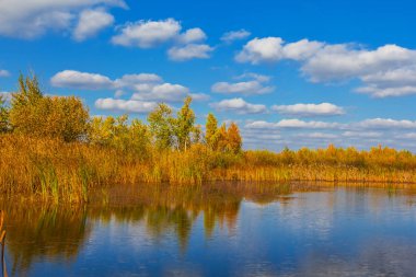 küçük mavi sonbahar Gölü sahne