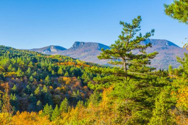 Sigara isolited beyaz bir arka plan üzerinde yığını