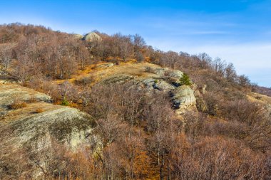 Sigara isolited beyaz bir arka plan üzerinde yığını