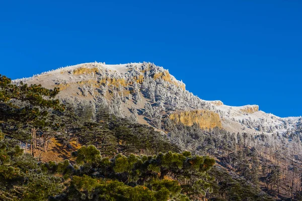 Montanhas de inverno sob um céu azul — Fotografia de Stock