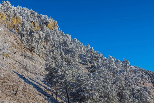 冬山边坡在雪中 — 图库照片